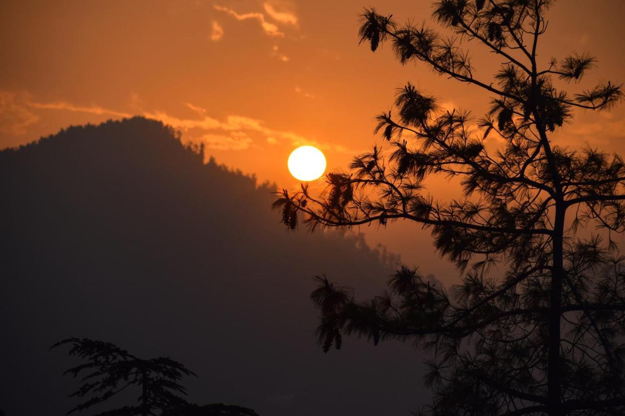 Aachman Nature Valley Resort, Mashobra Shimla Esterno foto